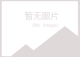 阳江夏槐会计有限公司